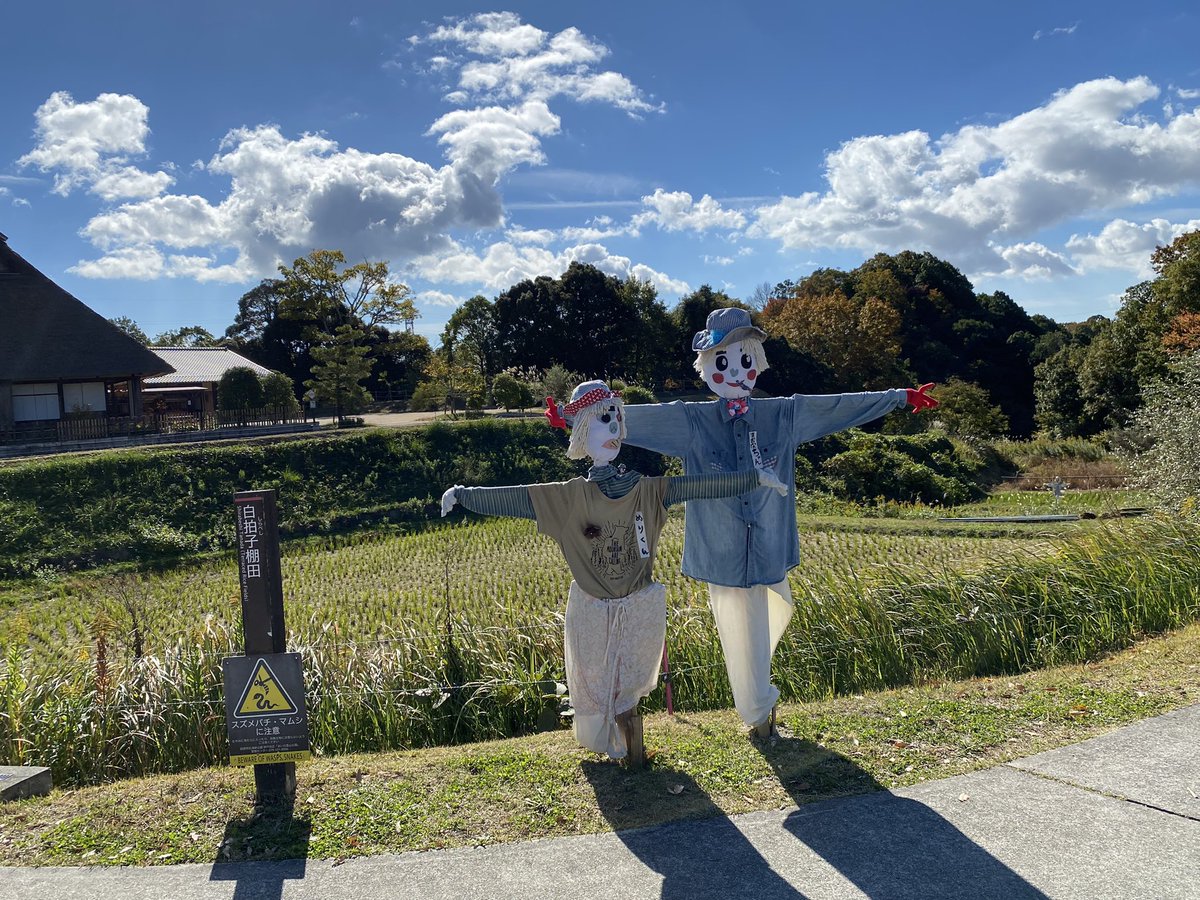 SIN＠びーこす＊2026/5/10 あいな里山公園 tweet media