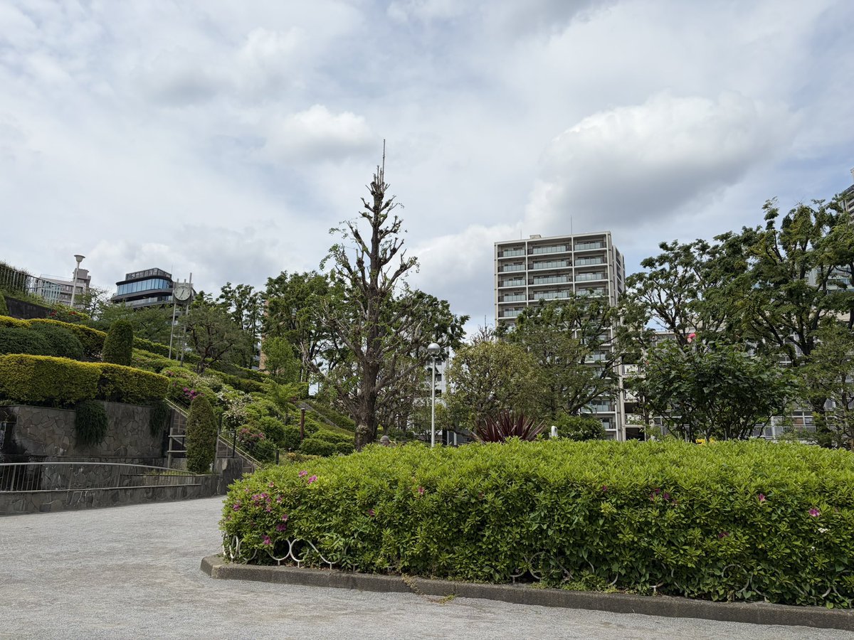 𝐰𝐢𝐭𝐡 tweet media