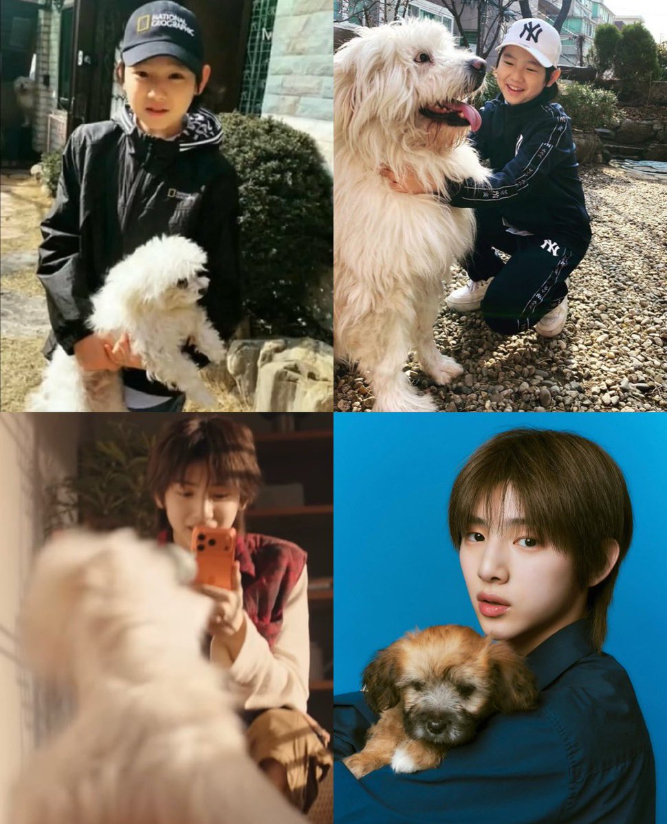 나 🍀 tweet media