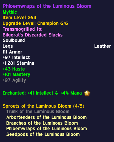 Acro_wow's tweet photo. any mythic boe donators in the chat https://t.co/37mcJopJeJ