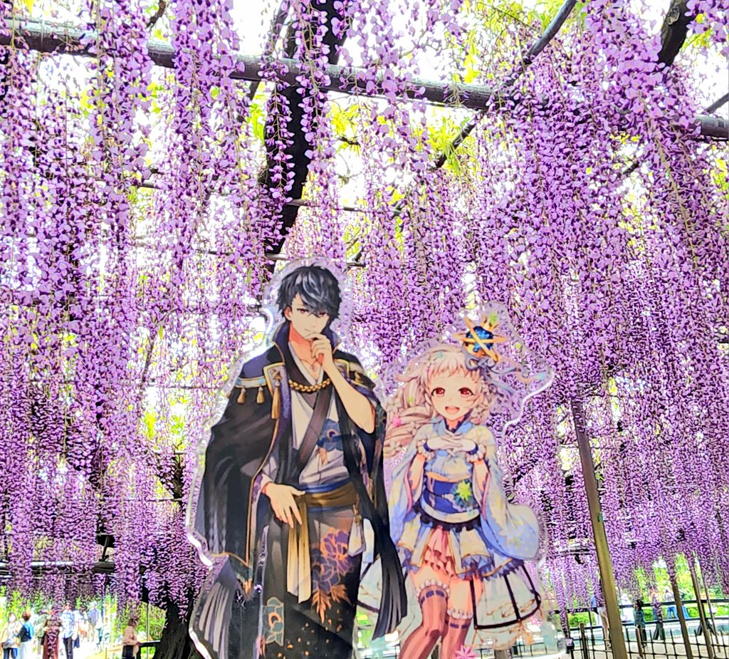 急遽遠出して推しーずとお花達見てるです🌸