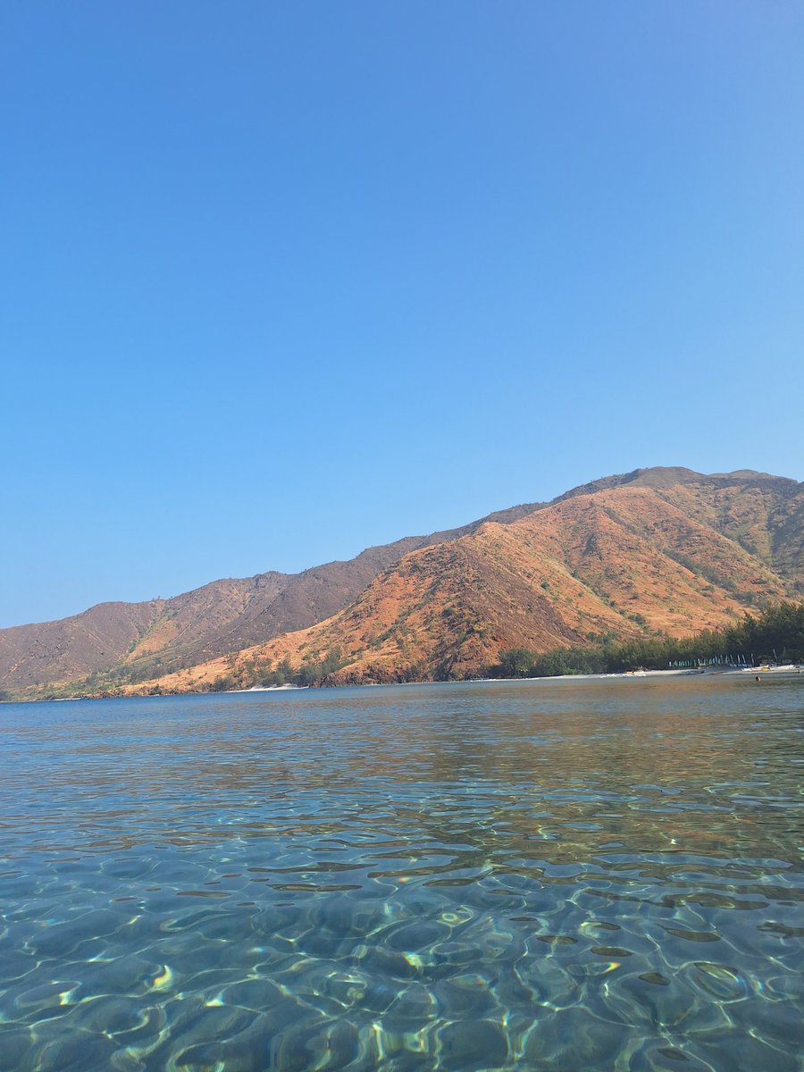 Stelleys✨ tweet media