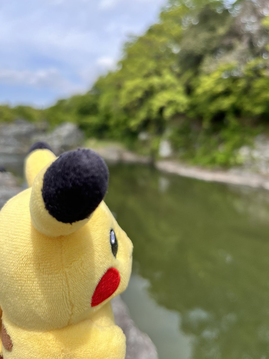 やすまる tweet media