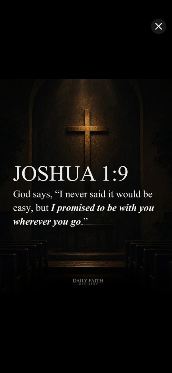 Judi Lake_3 Time Trump Voter tweet media