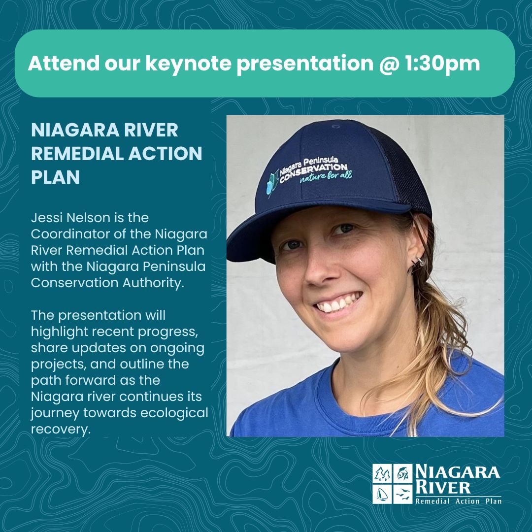 Niagara River RAP (Canada) tweet media