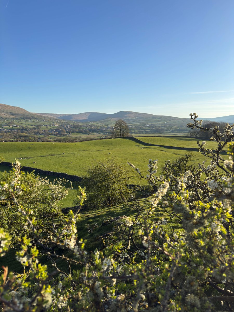 yorkshire_dales's tweet image. 