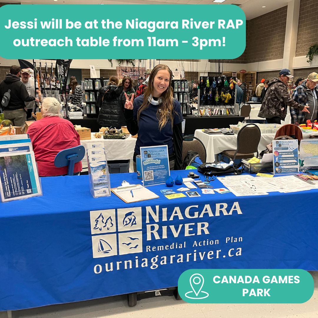 Niagara River RAP (Canada) tweet media