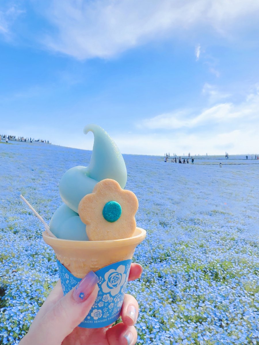 道具👑 tweet media