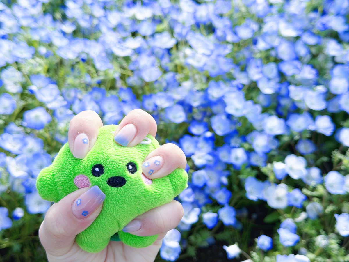 道具👑 tweet media