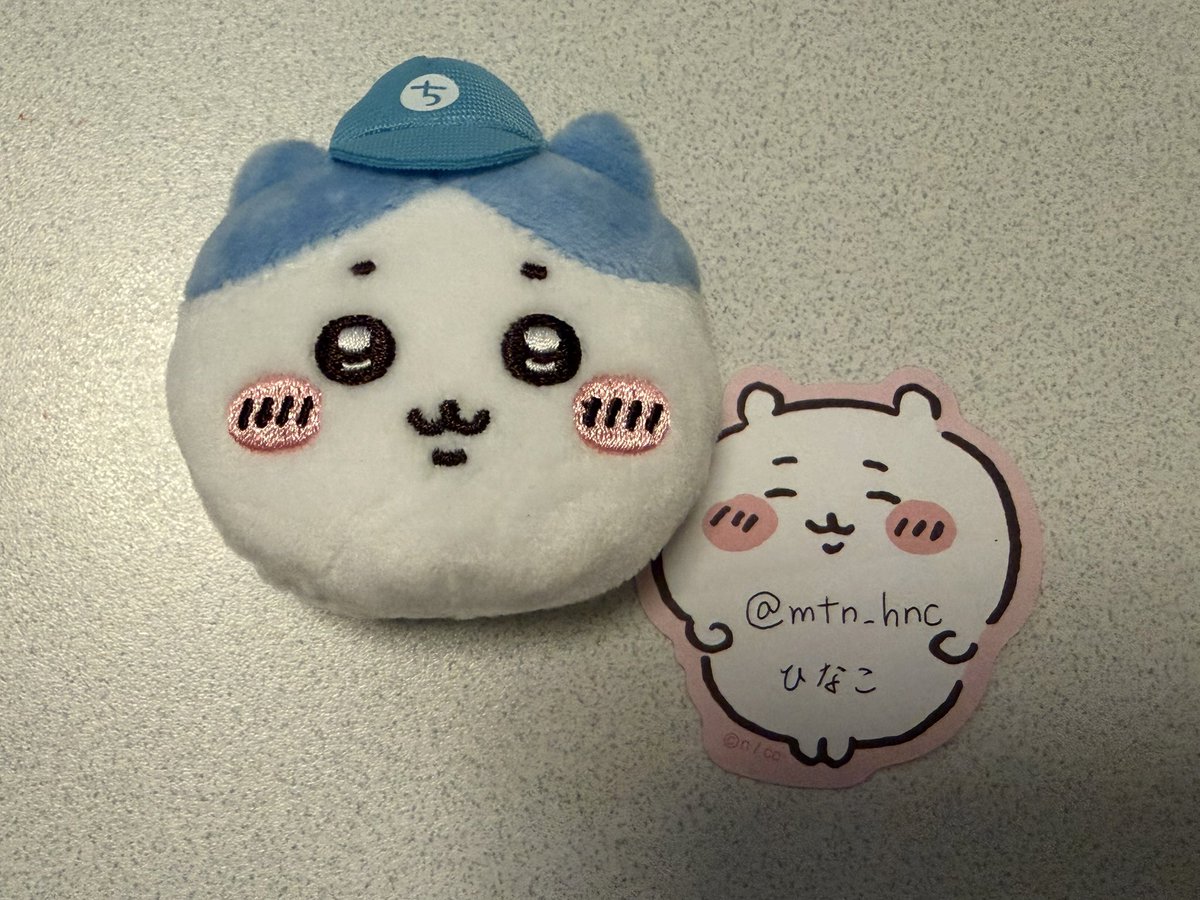 ひなこ tweet media