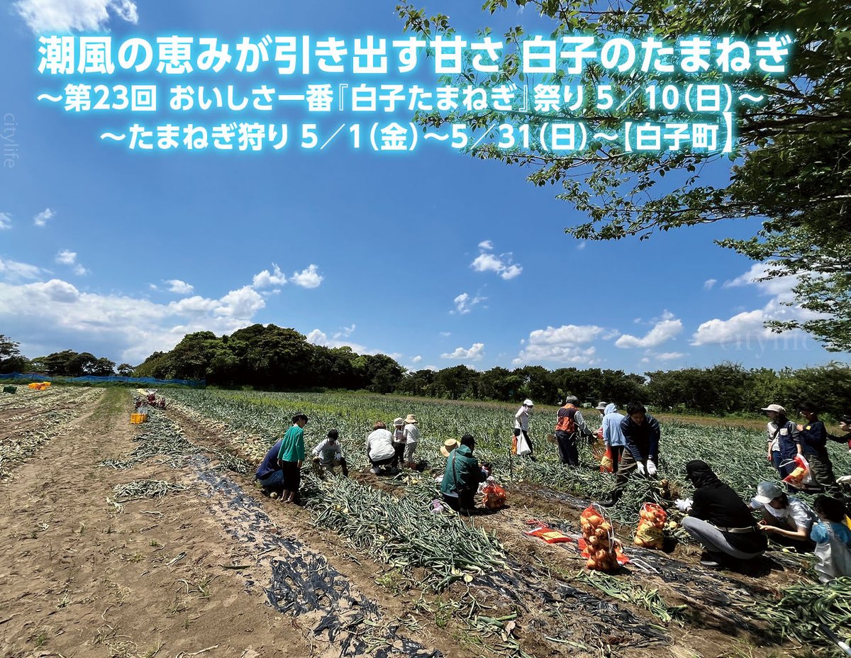 シティライフ編集室 tweet media