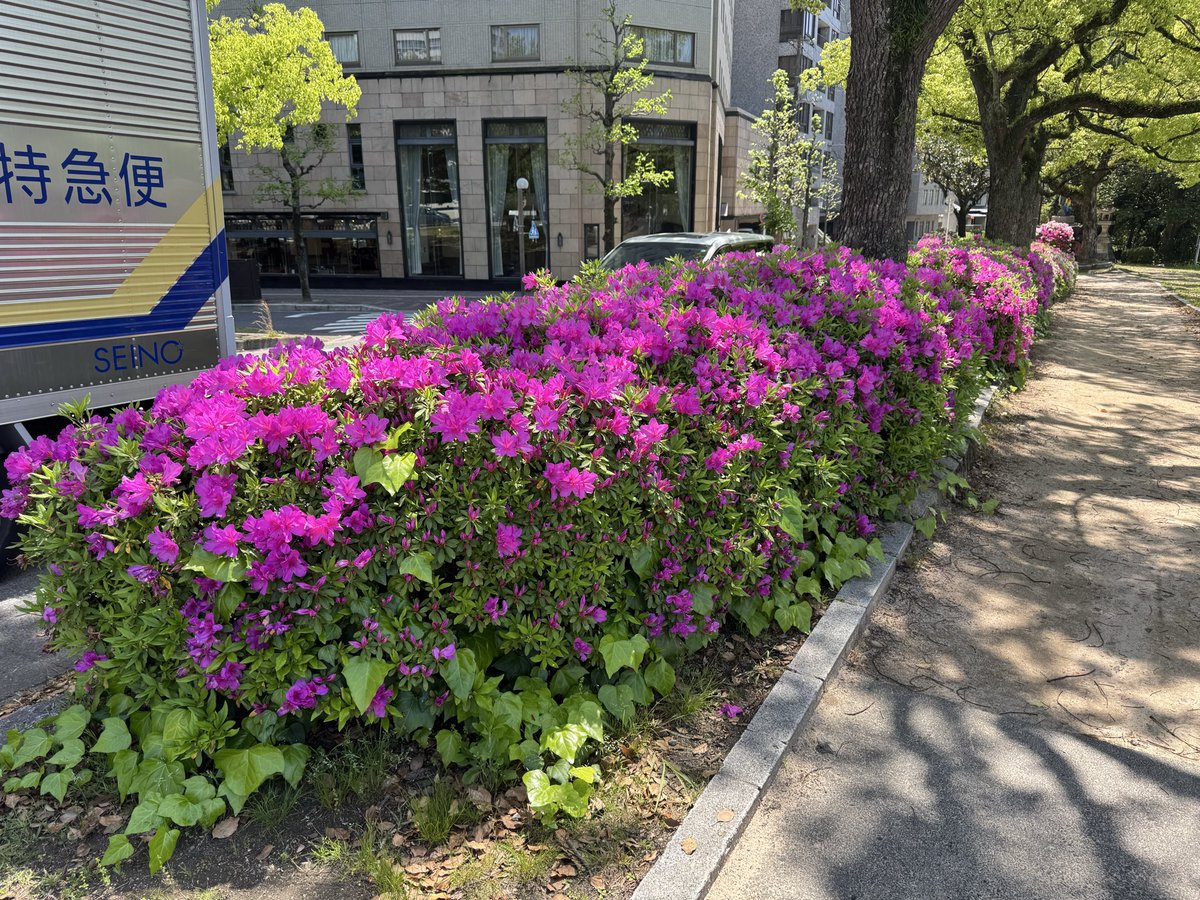 しふぷら🍉メモ📝 tweet media