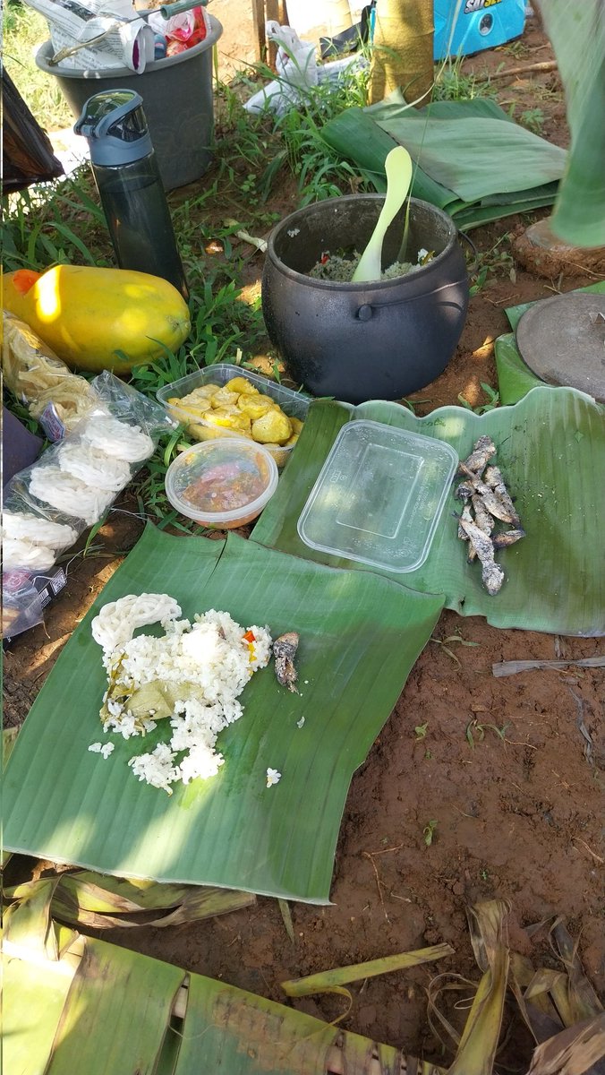 Atilu Nursery tweet media