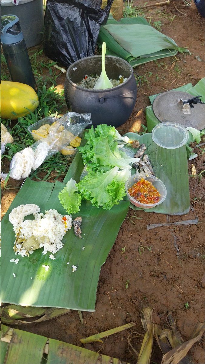 Atilu Nursery tweet media