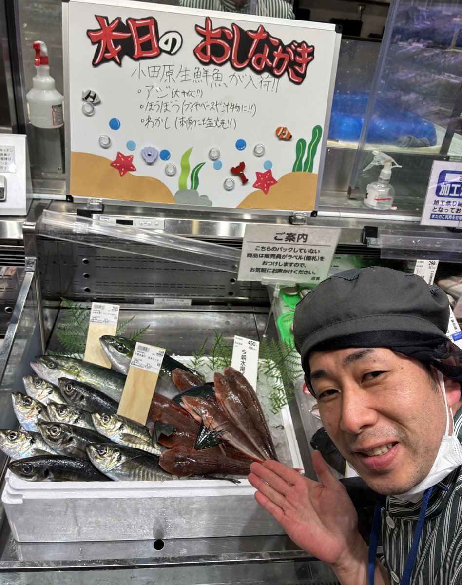 お待たせしました‼️ 小田原漁港直送💨 鮮度抜群のお魚到着したよ