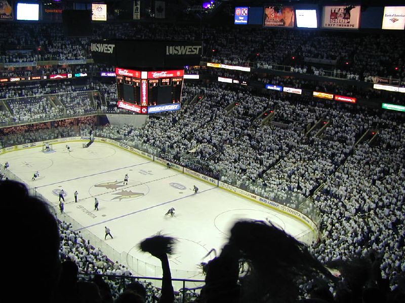 x - Yotes Vs Everyone tweet media