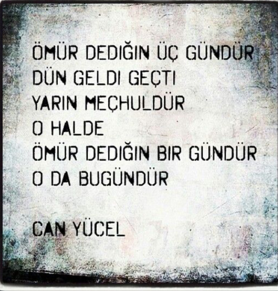 Çavuş Oduncuoglu tweet media
