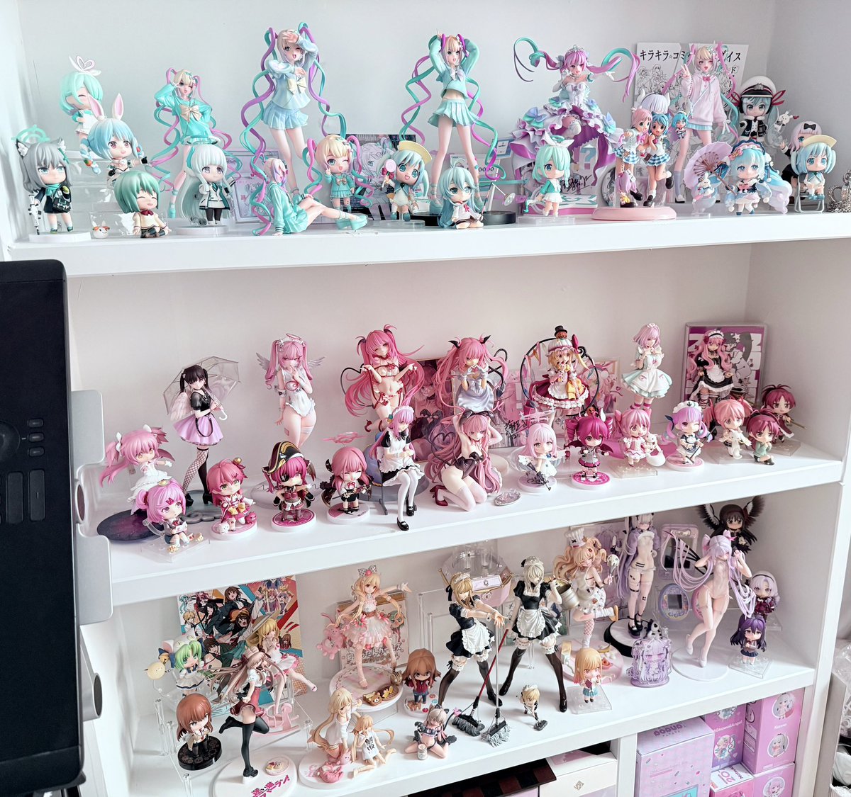 개죽이 tweet media