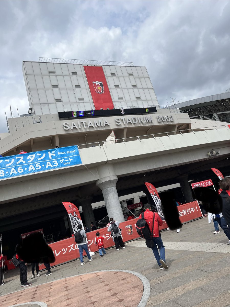 マリサポのねこ tweet media