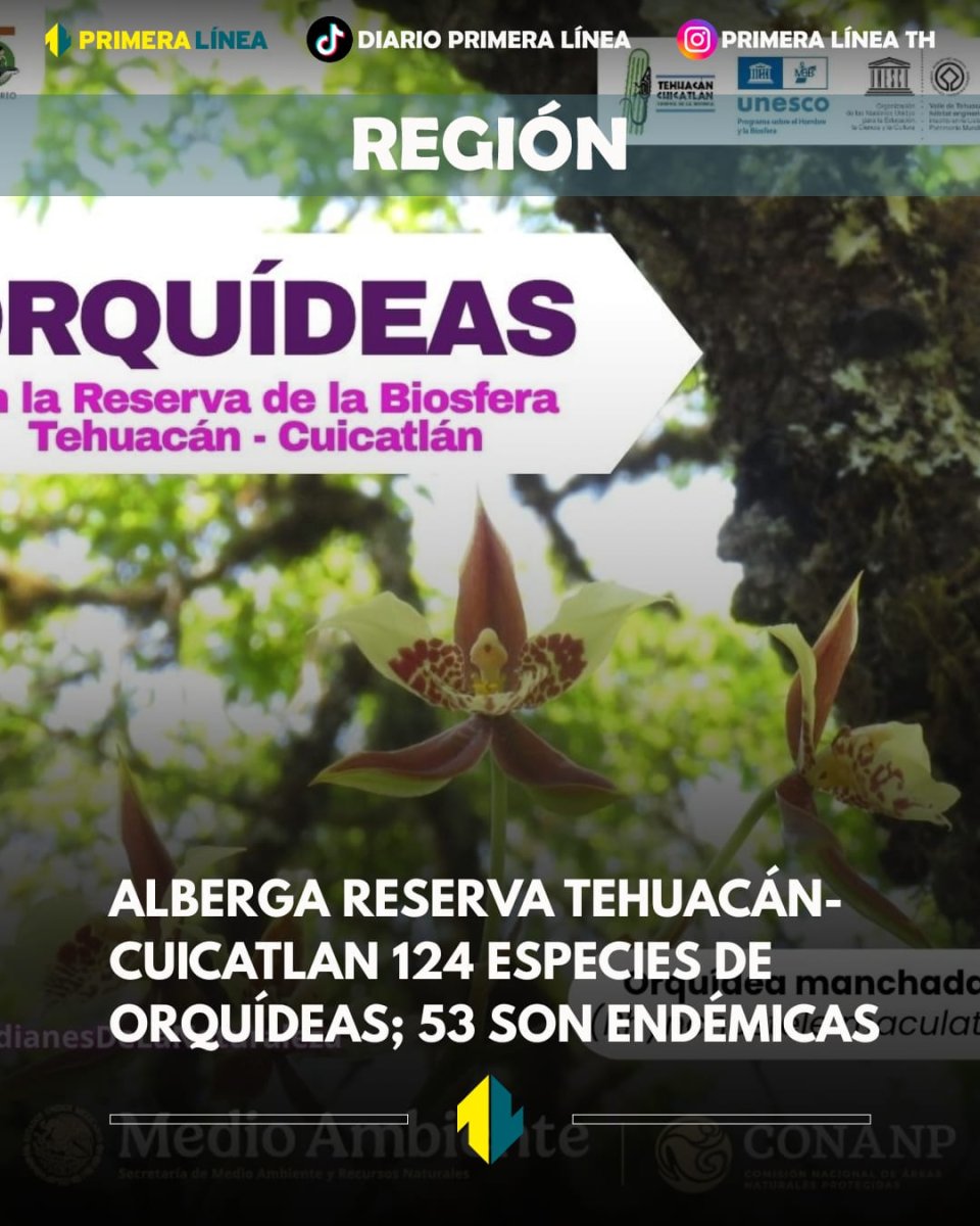 PrimeraLineaTH tweet media