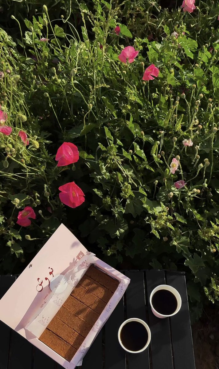 حُلم بنت خالد  tweet media