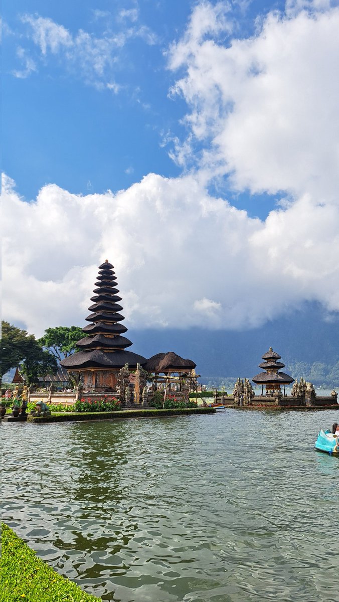 Starr//☆•° tweet media