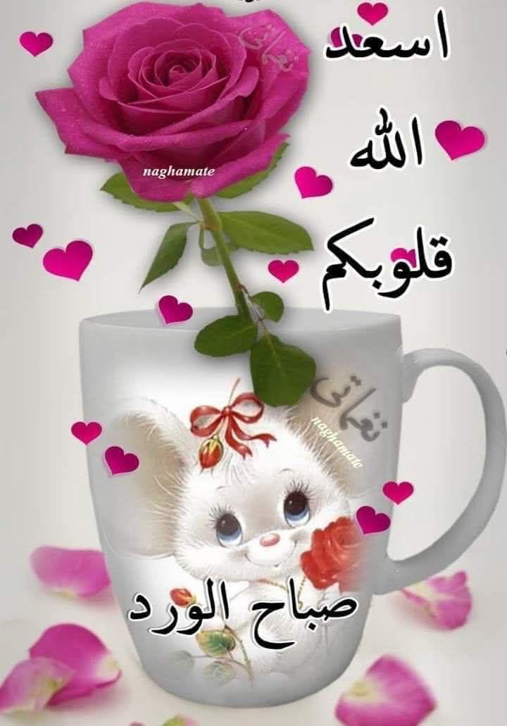 الحسم tweet media