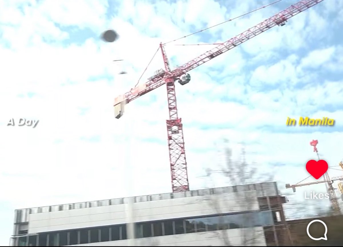 danji통통 tweet media