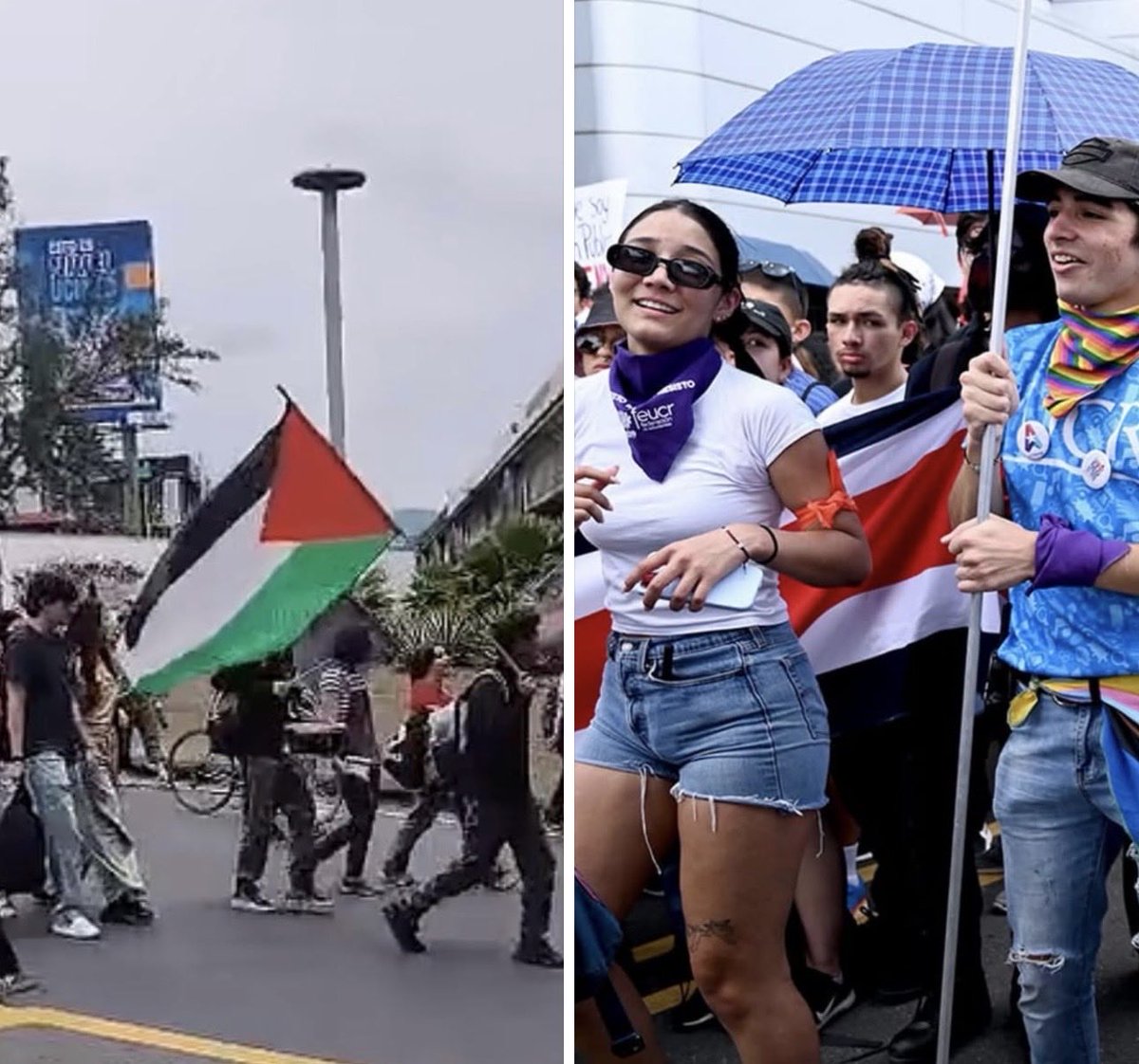 Oraculo CR tweet media