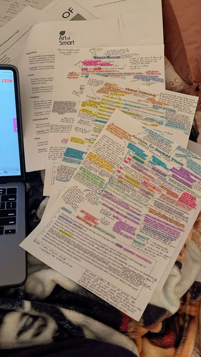 •☆• tweet media