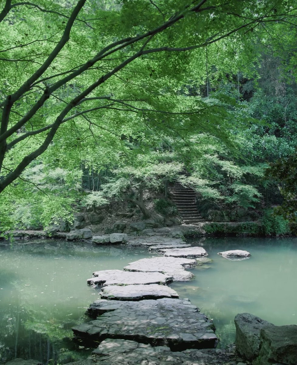 Anne_J_D's tweet photo. @D162Michele Just going to leave this little glimpse of China here. https://t.co/WS2bZCM5u6