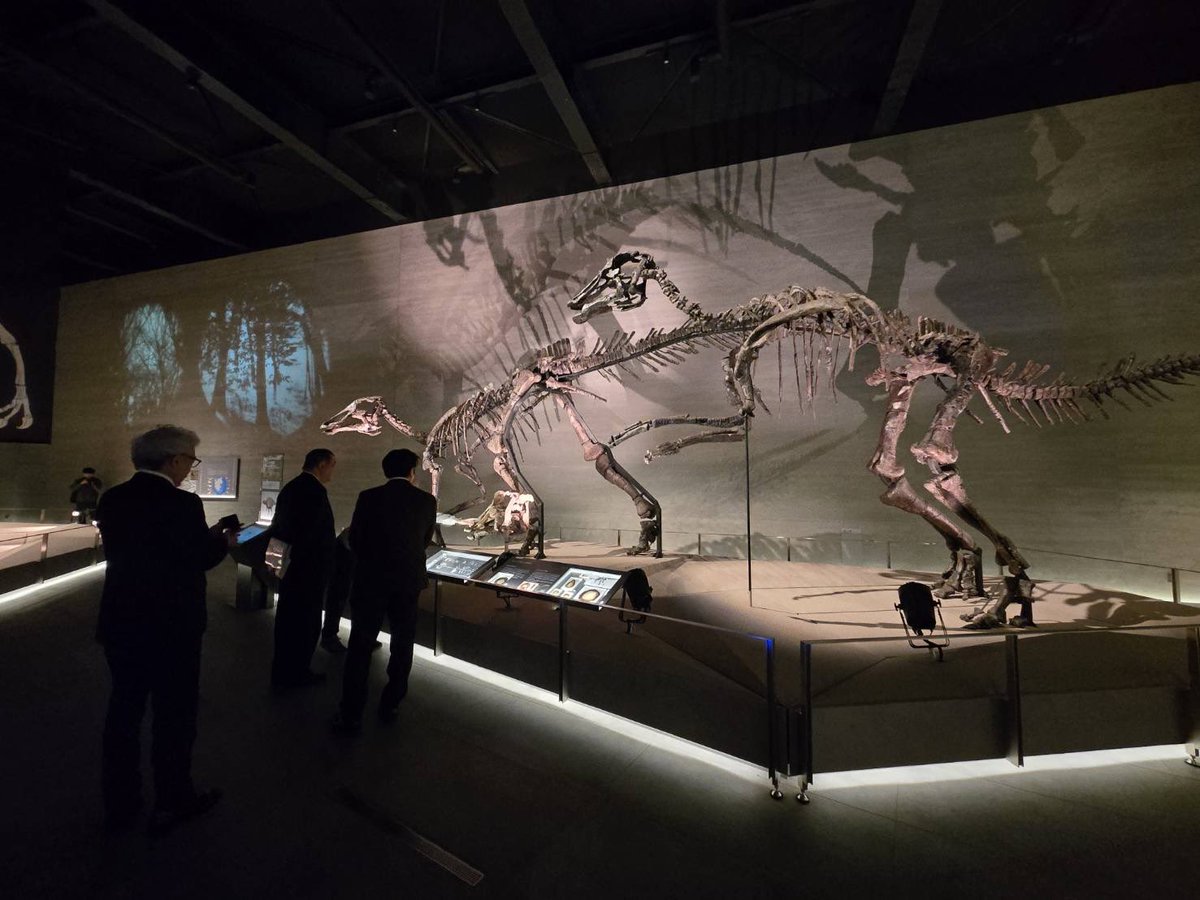 石破茂 tweet media