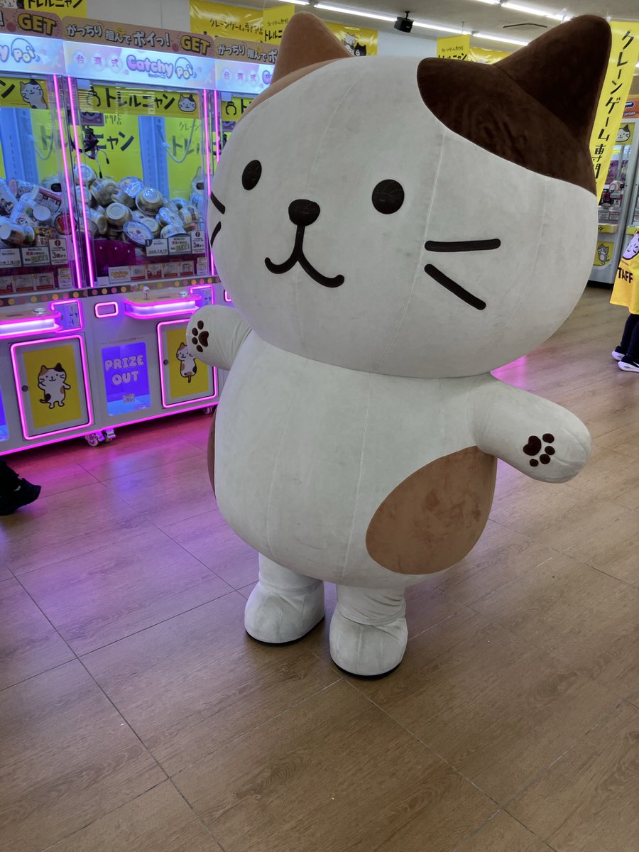 トレルニャン茂原 tweet media