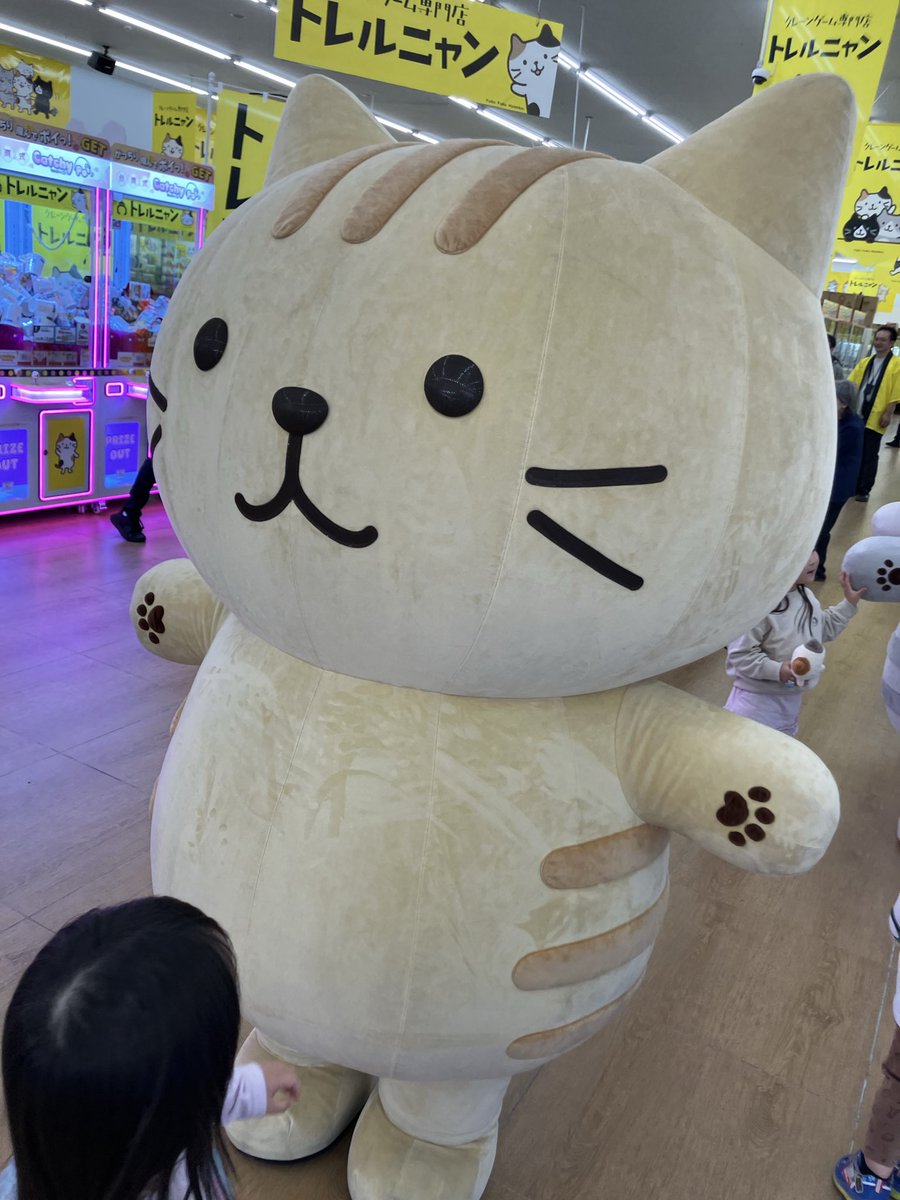 トレルニャン茂原 tweet media