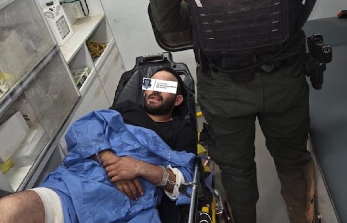 El Blog del Narco tweet media