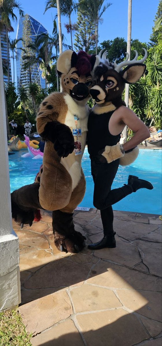 Helios the Hyena tweet media