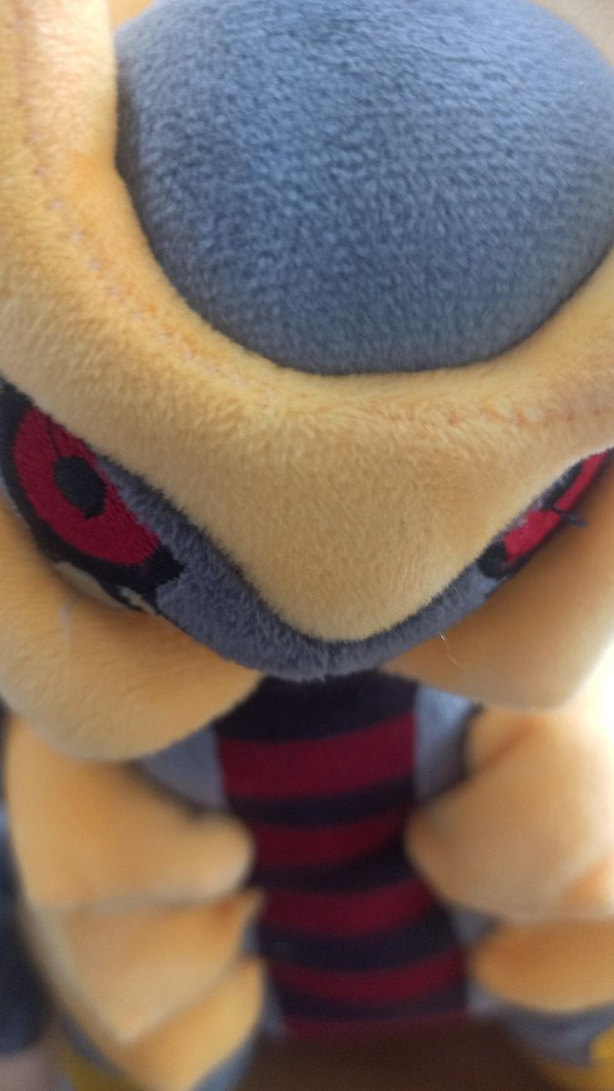 Giratina🇨🇱 tweet media