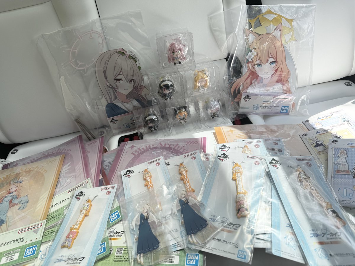 戦果っす
ブルアカの一番くじ引いてきた40回

自引きミカ0
A賞出せたけどミカは売り切れ…

ミカの一番くじじゃないんか！？