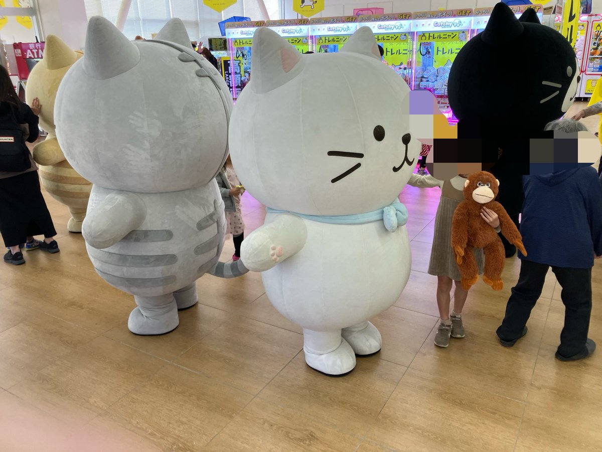 トレルニャン茂原 tweet media