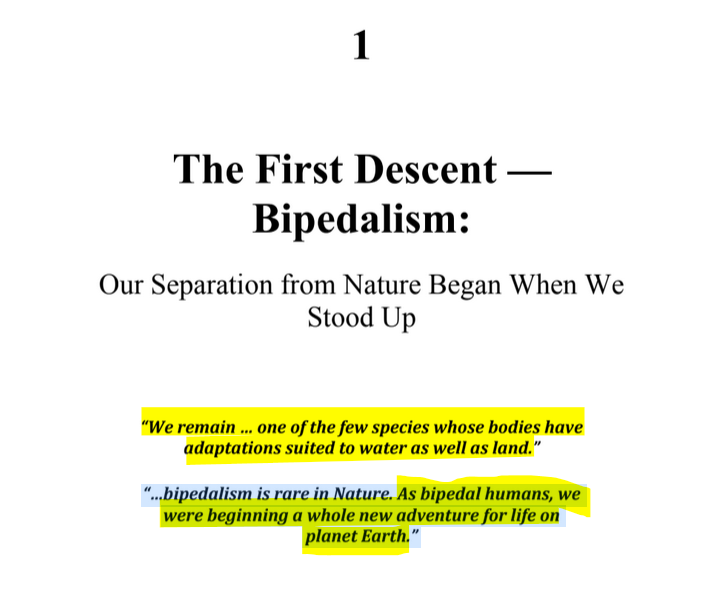 sillymickel's tweet image. *PRODIGAL HUMAN: The Descents of Man* (2016) by Michael Adzema

🧵Click this panel for Thread of complete book

Ch 1, p. 1

1/ 🧵👇💡📚💙 #PH 🧟‍♂️#ProdigalHuman🧟‍♂️ #PHCH1📖 1⃣  #TruthWarriors ❕ #anthropology🐵 #psychology ☮️ #devolution🐵 #Patriarchy #Civilization #birth #Primal