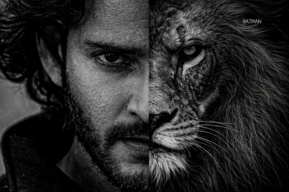 UrstruelyC's tweet image. A galla chokka yentra mawa... Manchi battal veskoni vellochu gara... Nuv #World no. 1 hero ni represent chestunavani marchipoku ra... #Range maintain chey ra... Battal ko dabbulu kavalante vestanu. Nuv Manchi battaleskuni #Range maintain chey mawa😎🦁🦁🦁💥💥💥