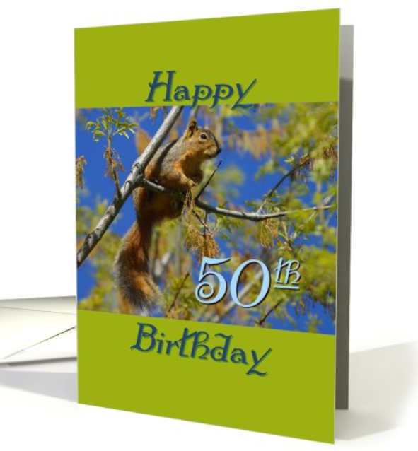 Evie_Hourglass's tweet image. Birthday 50th, Funny #Squirrel card (818580) greetingcarduniverse.com/50th-birthday-… @gcuniverse #greetingcard #greetingcards #birthday #50th #greetings #cards #cardshop #milestone #humor #nuts #tree #green #branch #animallover #animals - #Free pickup at your local #FedEx for 5 cards or more!