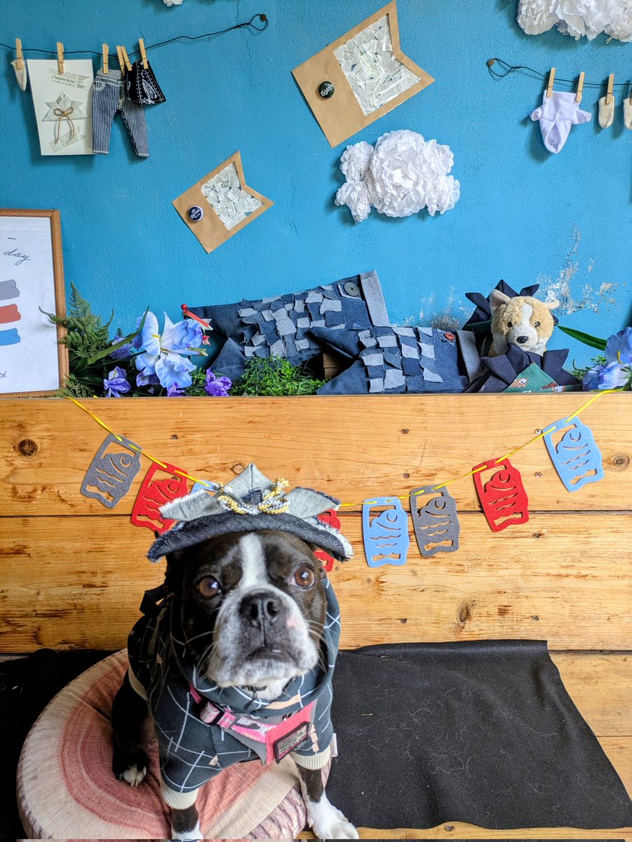 Ｋ(仮名)【ピエラー】 tweet media