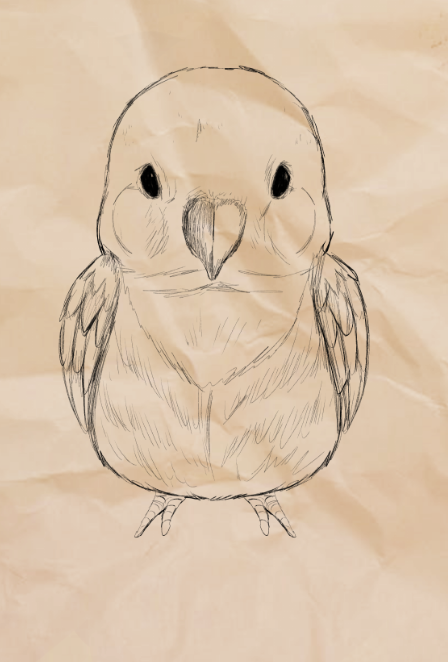 PokemonLSK's tweet photo. Study sketch of a little birb 
#drawings #artist # https://t.co/18PuUp5453