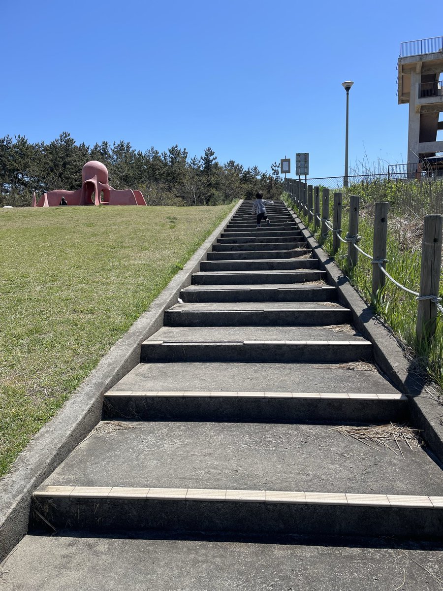 息子と2人でタコ公園🐙
高いところ怖いけど眺めがいい〜✨

後半は坂と階段をひたすら登ったり降りたり🫠
これは多分、息子から私への
ダイエットプログラム…（ﾁｶﾞｳｶ）

夜はブラスの保護者会。。
お昼寝しておこう😪