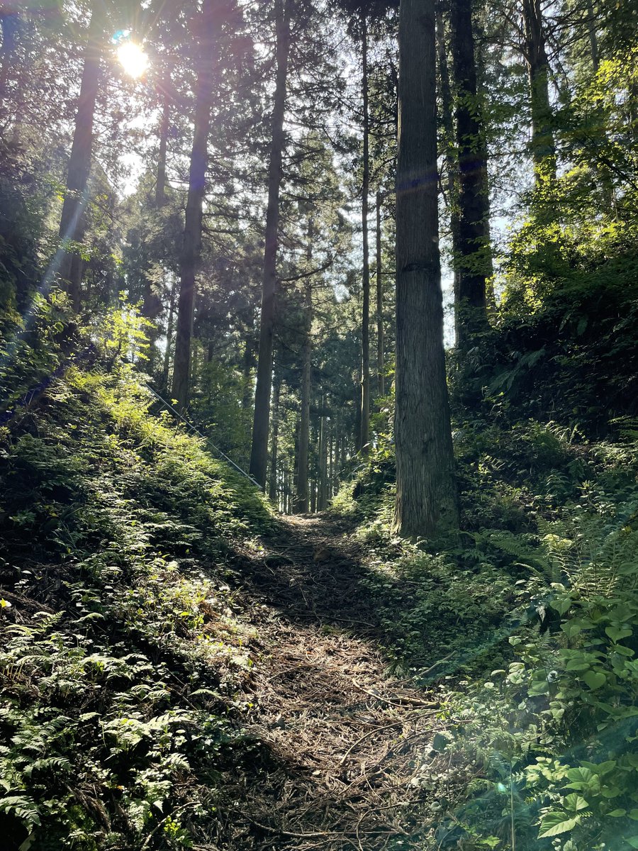 いしかわさん tweet media