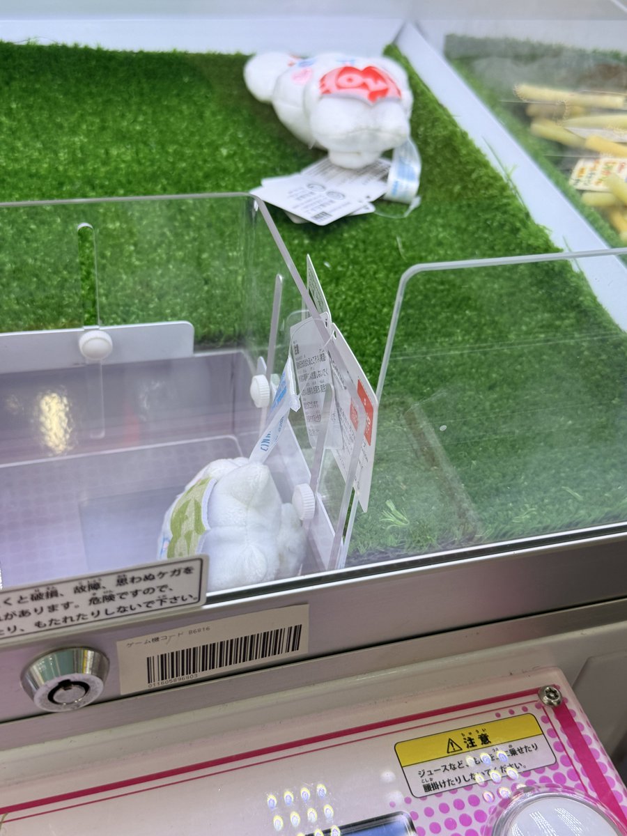 ともきゅー🐈🐼 tweet media