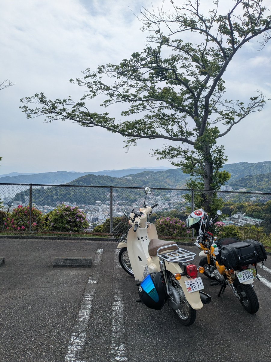 🌸ゆっちゃん@ｽｰﾊﾟｰｶﾌﾞ🛵ZX 25R se練習期間🔰多趣味垢