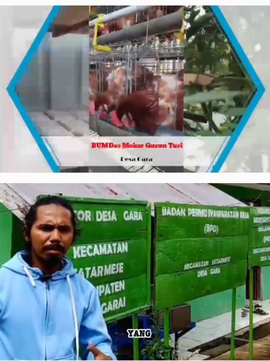 BUMDesa  Gara, Satarmese, Manggarai tetapkan 3 jenis Ketapang, Holtikultura, Produksi Tempe, Ayam Petelur utk tingkatkan Pendapatan Masy. 

<a href="/YandriSusanto/">Yandri Susanto</a>
<a href="/KemensetnegRI/">Sekretariat Negara</a>

#KementerianDesaPDT
#BPSDMKementerianDesaPDT
#DesaGaraSatarmeseDukungBUMDesa
#KerjaPendampingDssaBerdampak