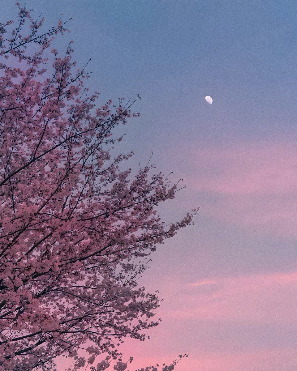 ☁️ tweet media
